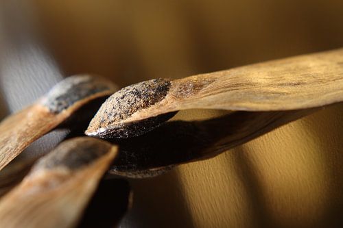 Sowing Seeds of Gold