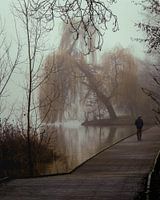 Mistige ochtend wandeling
