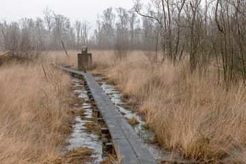 Grenspaal in natuurreservaat het Wooldse veen in Winterswijk