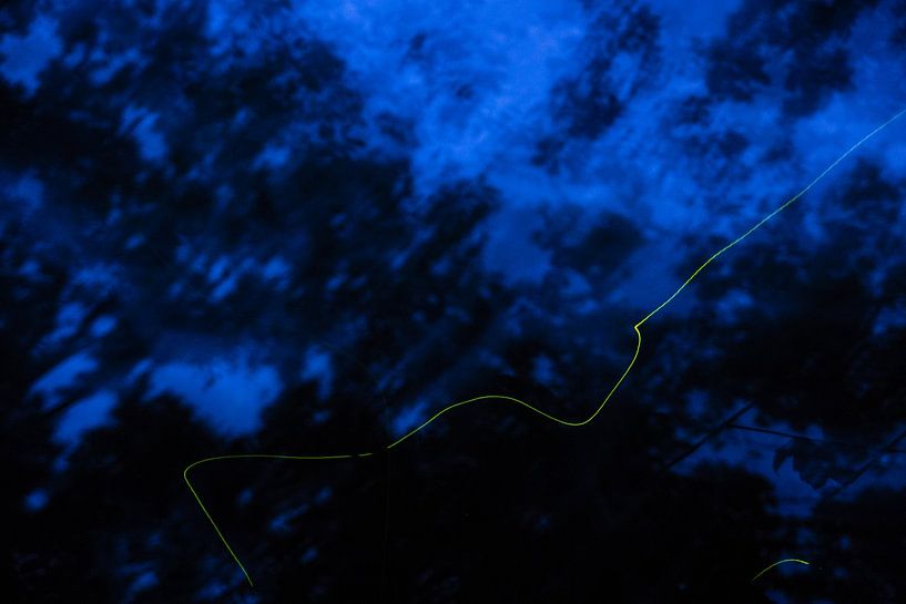 vuurvliegjes in abstractie van Francois Debets