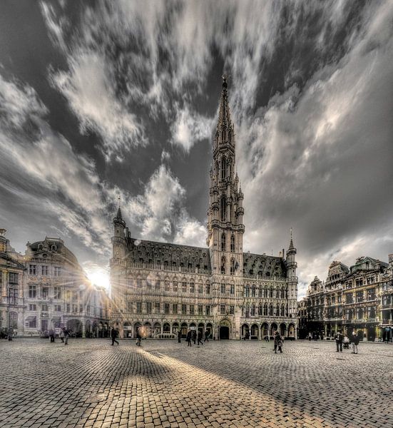Grand Place of Brussels by Paul Marnef