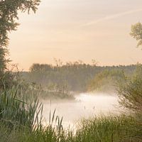 Doorkijkje met twee eenden in de mist