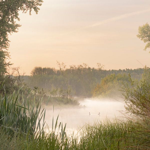 Vue avec deux canards dans le brouillard par Bas Ronteltap