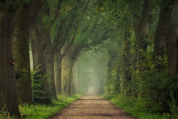 Way to Autumn van Martin Podt