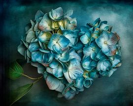 Blue Hydrangea Heart – Painterly Floral Art by Joriali Fine Art
