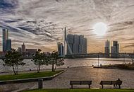 Erasmusbrug Rotterdam in HDR van Brian Morgan thumbnail