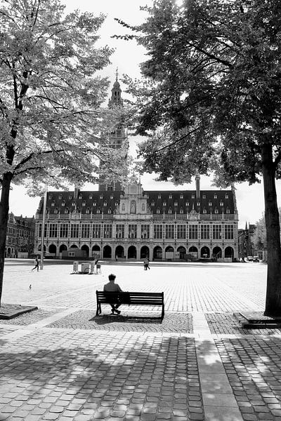 Mijn Leuven, mijn inspiratie van Nina Rotim