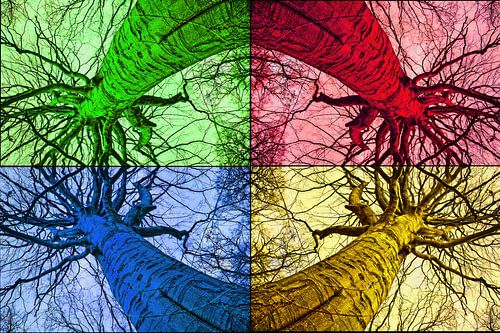 caleidoscopisch zicht op boom in kleur