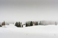 Een dal in de sneeuw en in de mist von Tony Buijse Miniaturansicht