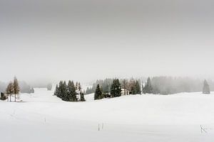 Een dal in de sneeuw en in de mist