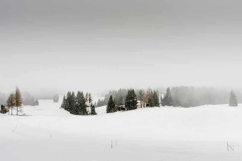 Een dal in de sneeuw en in de mist von Tony Buijse