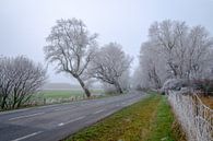 Im Winter beschichtet von Johan Vanbockryck Miniaturansicht