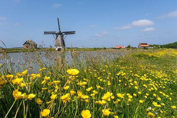 Moulin à vent Het Noorden sur Texel sur Sandra Kulk