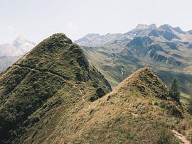 Pointy by Richard Stoop