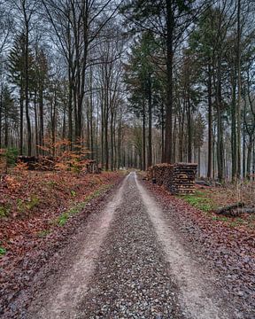 Der Winter kündigt sich an