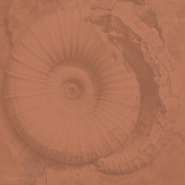 Verborgen sporen uit het geologische verleden van AidasignArt