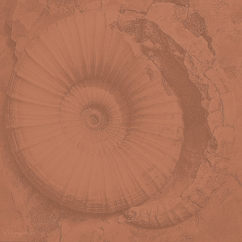Hidden traces of the Earth’s history