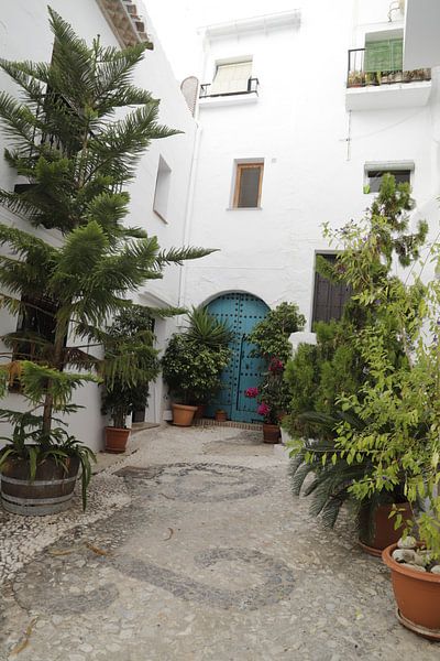 Ein spanischer Innenhof mit vielen Pflanzen von Cora Unk