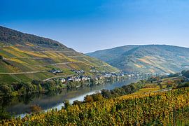 Merl aan de Moezel in Duitsland