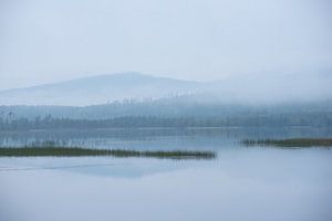 Morgenstimmung von Harry Punter