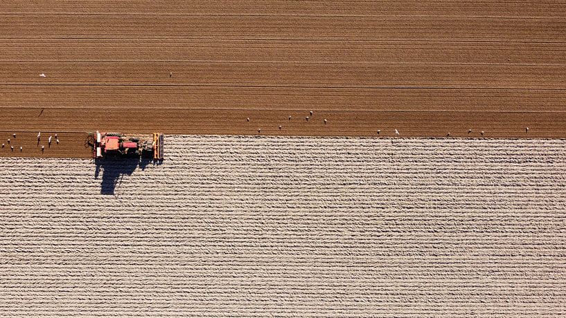Land (re)construction. by PEEQ.