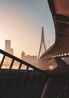 De Erasmusbrug in prachtig zacht zonlicht in de vroege ochtend