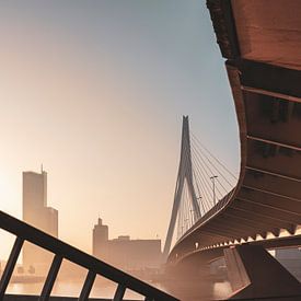 The Erasmus Bridge in beautiful soft sunlight in the early morning by Henno Drop