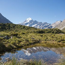 Aoraki/Mount Cook reflecteert in een vijfer, Nieuw Zeeland van Armin Palavra
