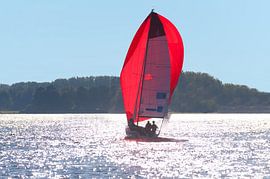 Sailing into the Sun by Brian Morgan