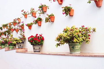 Pots de fleurs d'Andalousie sur Inge Hogenbijl