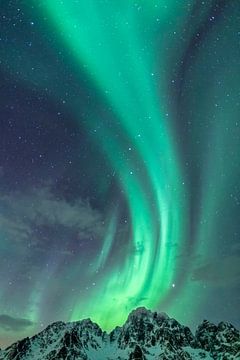 Nordlichter oder Aurora Borealis in der sternenklaren Nacht über den schneebedeckten Berggipfeln der von Sjoerd van der Wal