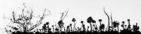 silhouet van vetplanten