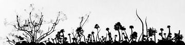 silhouet van vetplanten van arjan doornbos