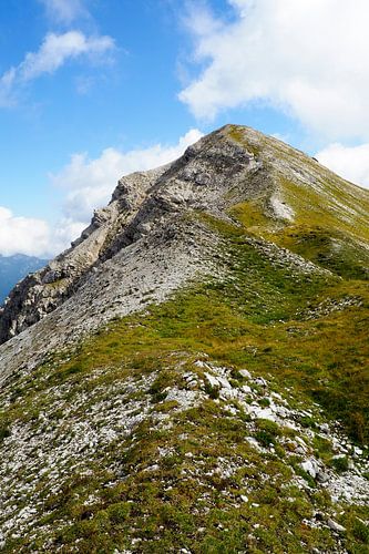 De Alpen - wild, vredig, machtig en delicaat tegelijk