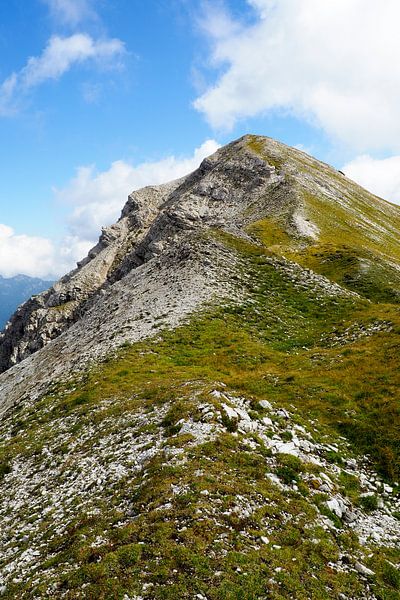 Die Alpen – wild, ruhig, gewaltig und zart zugleich von Miriam Schwarzfischer Fotografie