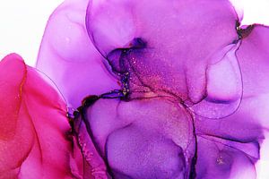 Fleur céleste violette sur Joke Gorter