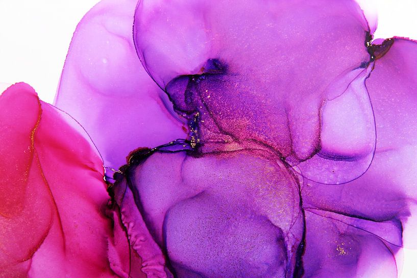 Fleur céleste violette par Joke Gorter