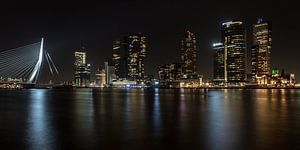 Rotterdam panorama van Albert Mendelewski