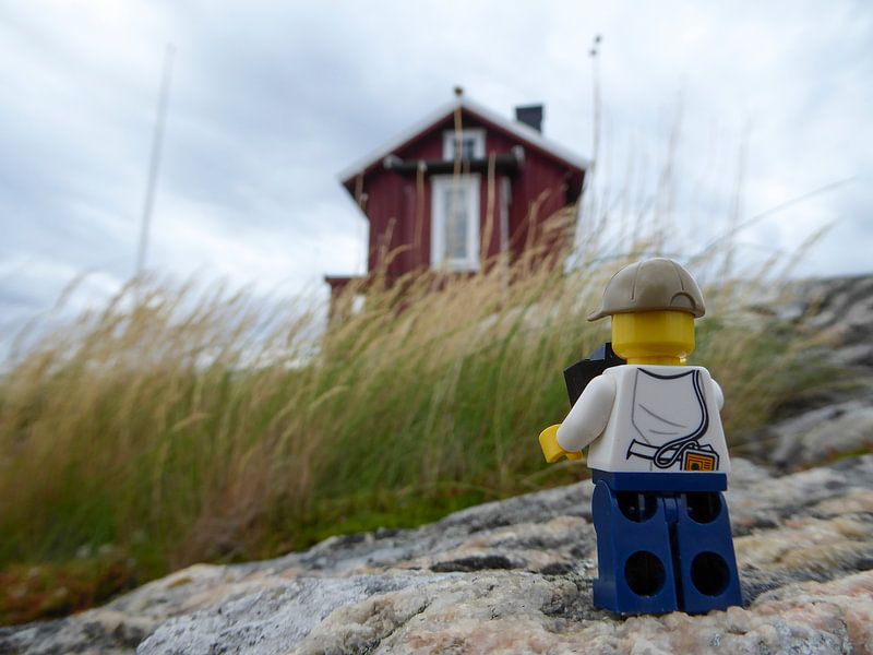 LARS avec un chalet faluröd par Ilze de Meer