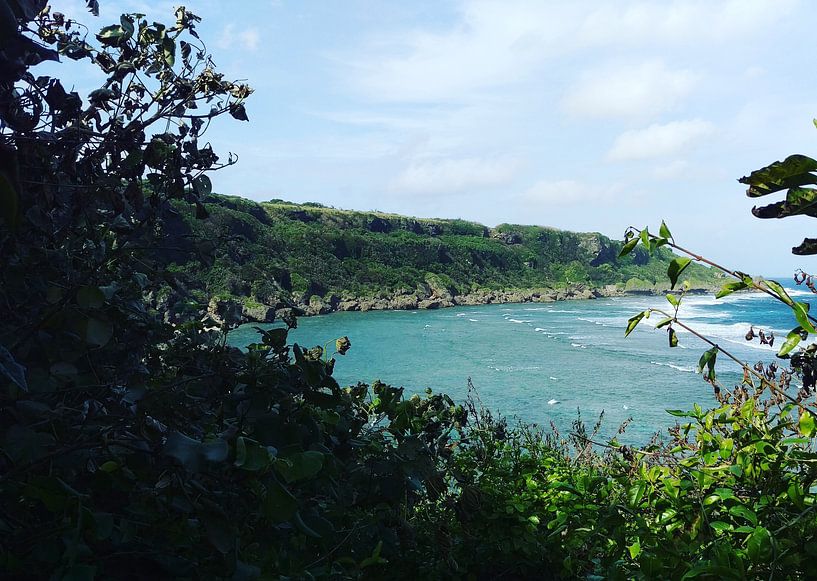 South coast of Okinawa - Japan von Daniel Chambers