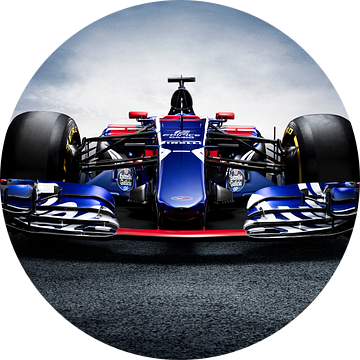 F1 Formule 1 Toro Rosso STR12 2017 van Thomas Boudewijn