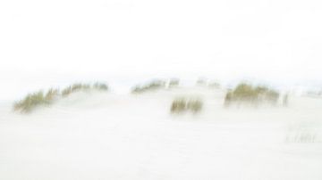 De duinen van Ameland - voor de echte minimalisten onder ons - 2 van Danny Budts