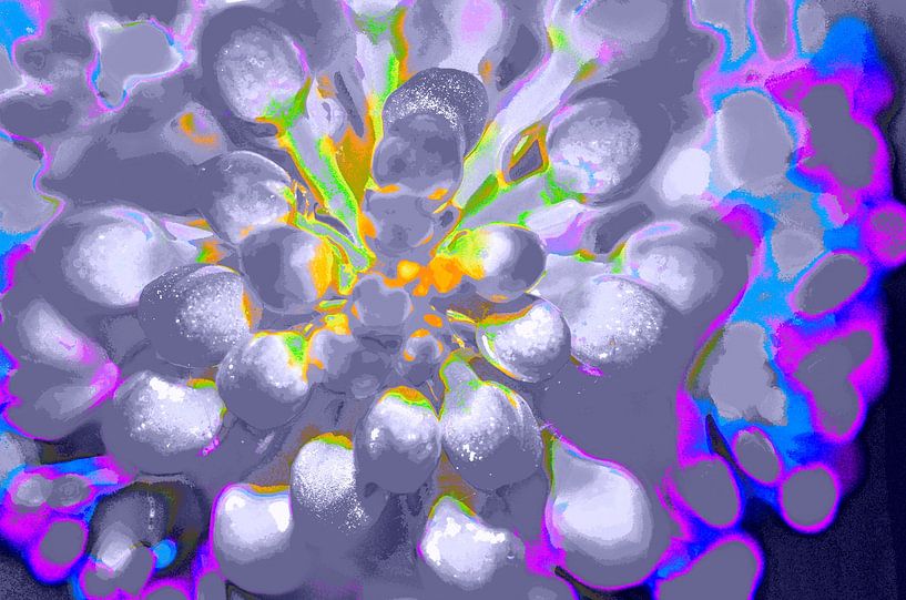 Flower Balls van De Rover