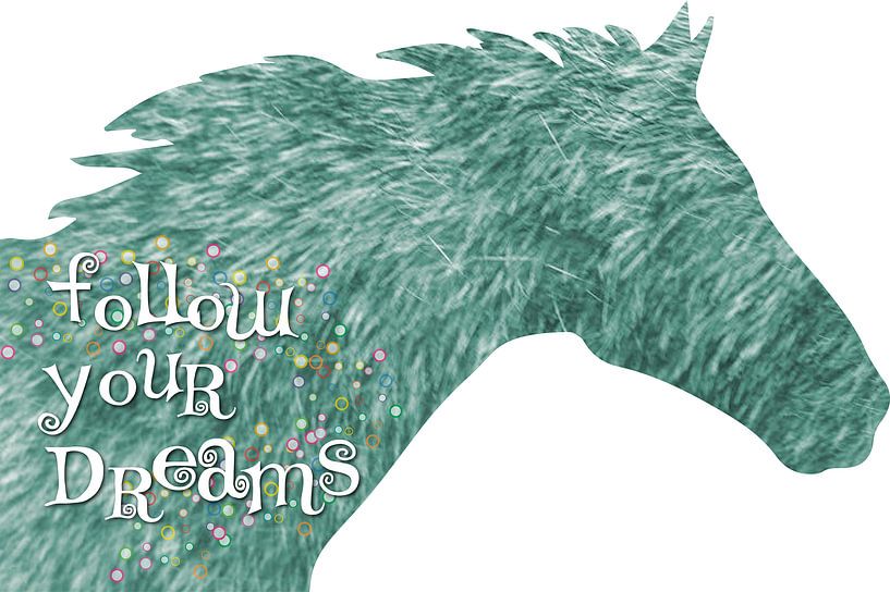 Follow your dreams by Kim Diemeer