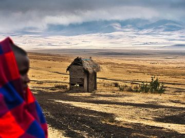 Masai man op flank Ngorongoro, Tanzania. van Machiel Zwarts
