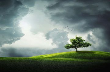 Grijze wolken boven veld met boom van vmb switzerland