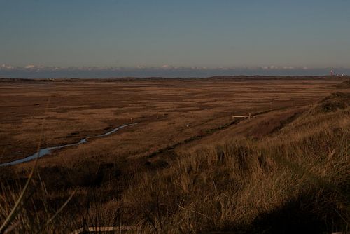 Walkers through De Slufter nature reserve on Wadden island of Texel