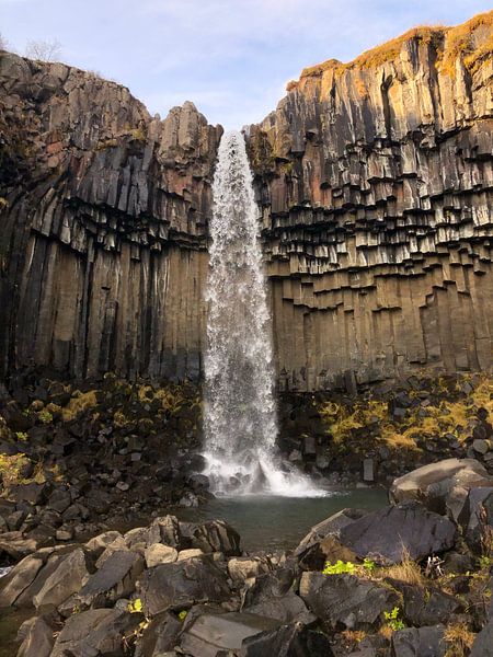 Svartifoss waterval in IJsland van Liselotte Helleman