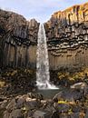 Svartifoss Wasserfall in Island von Liselotte Helleman Miniaturansicht