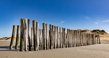 Strandpfosten Westenschouwen 2